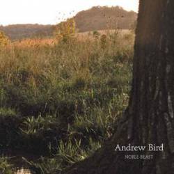 Andrew Bird : Noble Beast